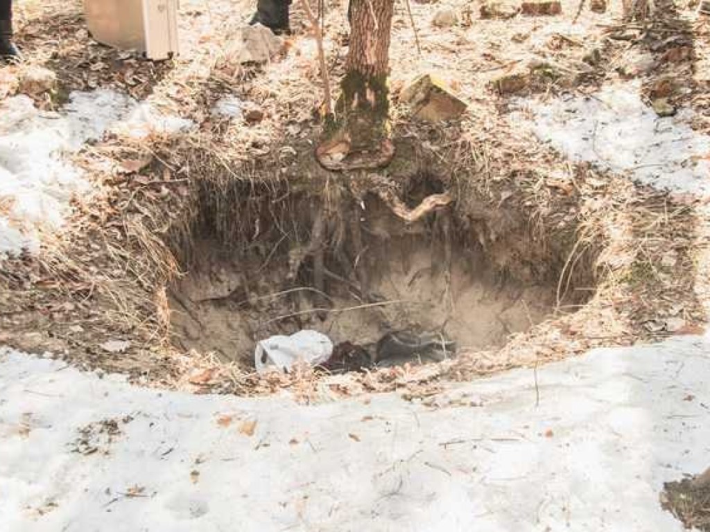 На Николаевщине в яме нашли труп пропавшего полтора месяца назад мужчины (ФОТО)