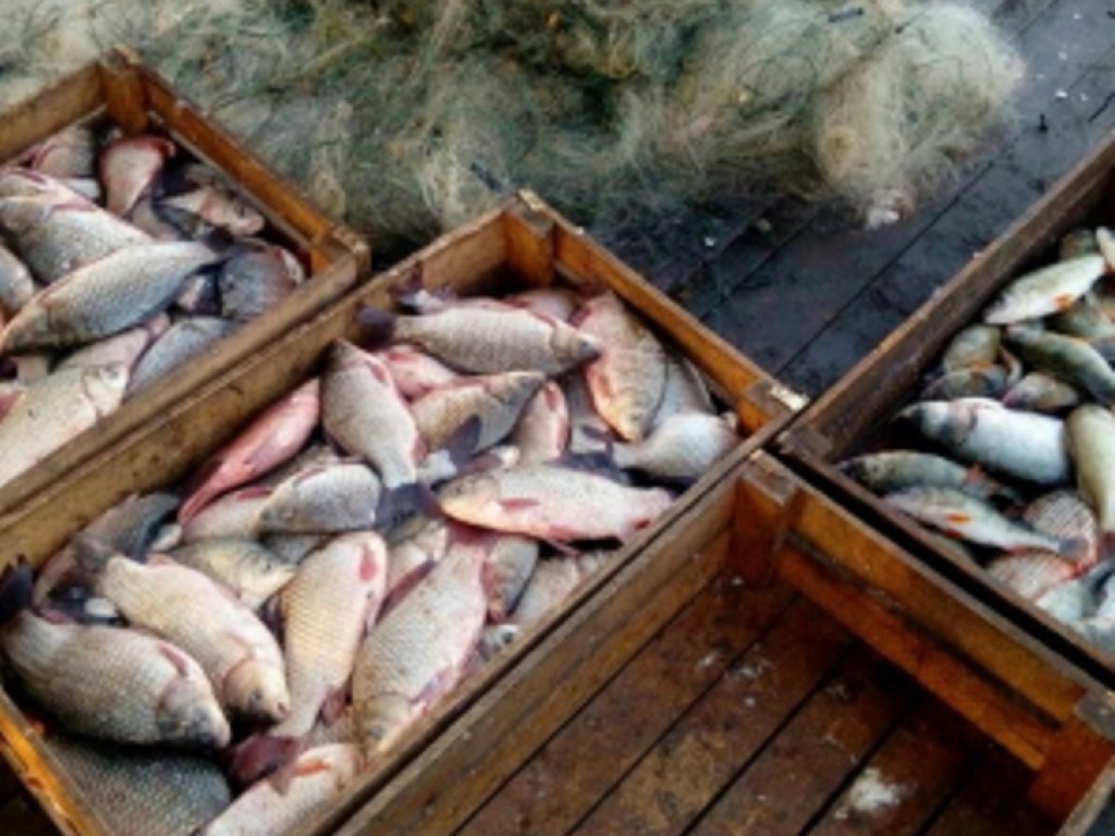 На озере Ялпуг браконьеры наловили рыбы на 12 тысяч гривен (ФОТО)