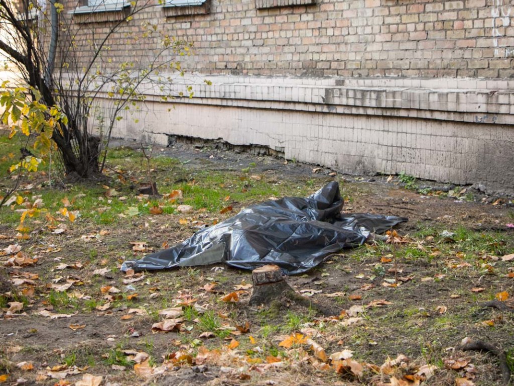 Трагический инцидент: на Новой Дарнице в Киеве из окна выпала пожилая женщина (ФОТО, ВИДЕО)