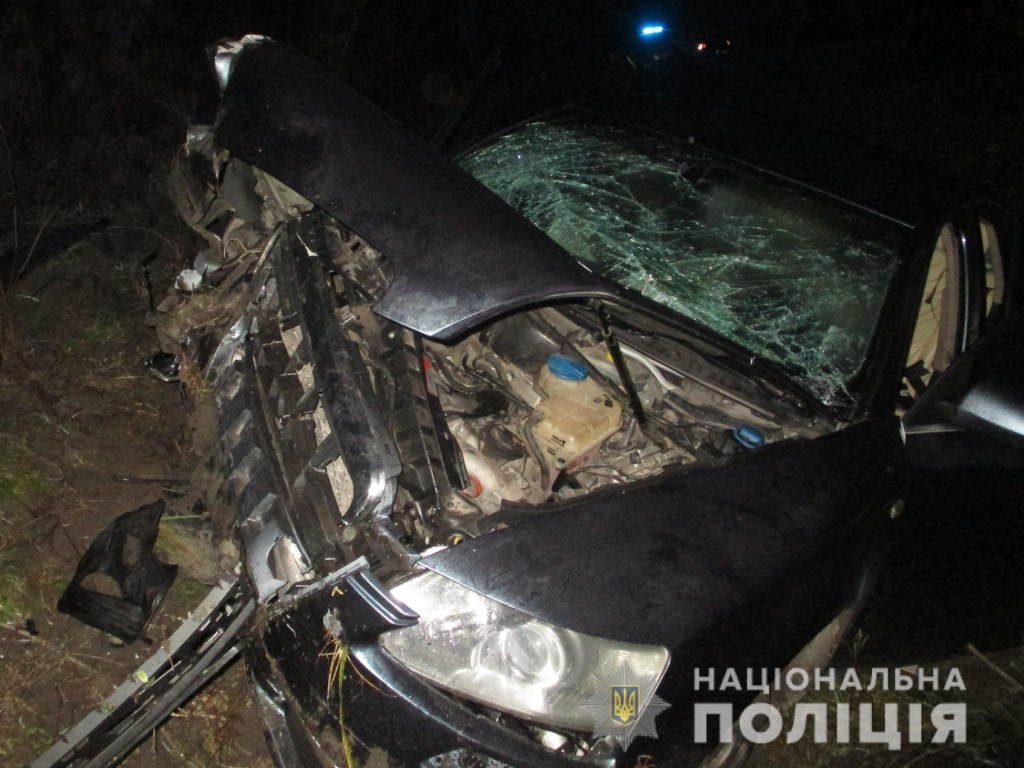 В Запорожской области  дорогой Audi c молодой компанией вылетела в кювет: есть жертвы (ФОТО)