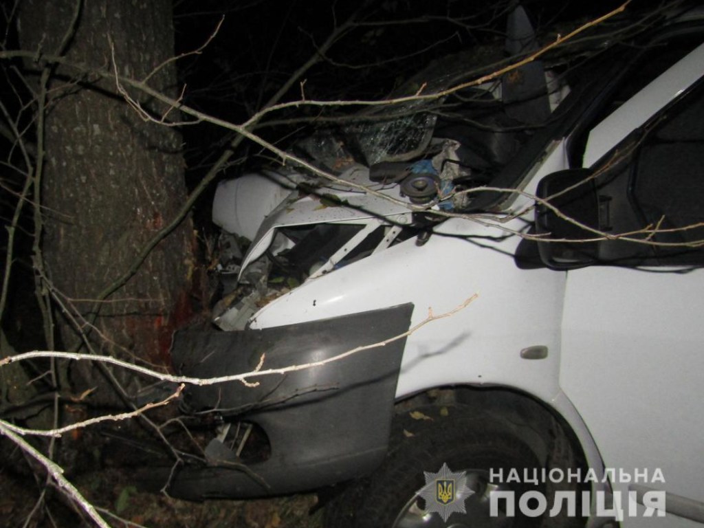 На дороге Киев-Ковель микроавтобус врезался в дерево: один погибший, четверо пострадавших (ФОТО)