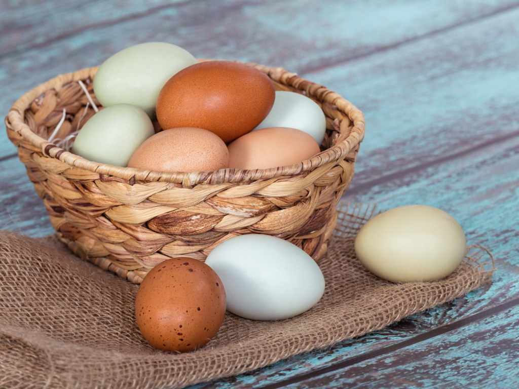 Эксперты рассказали, в чем опасность для здоровья куриных яиц с трещинами