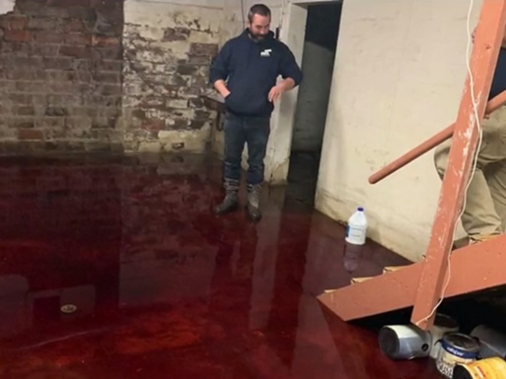 В США подвал жилого дома затопило кровью животных (ФОТО, ВИДЕО)