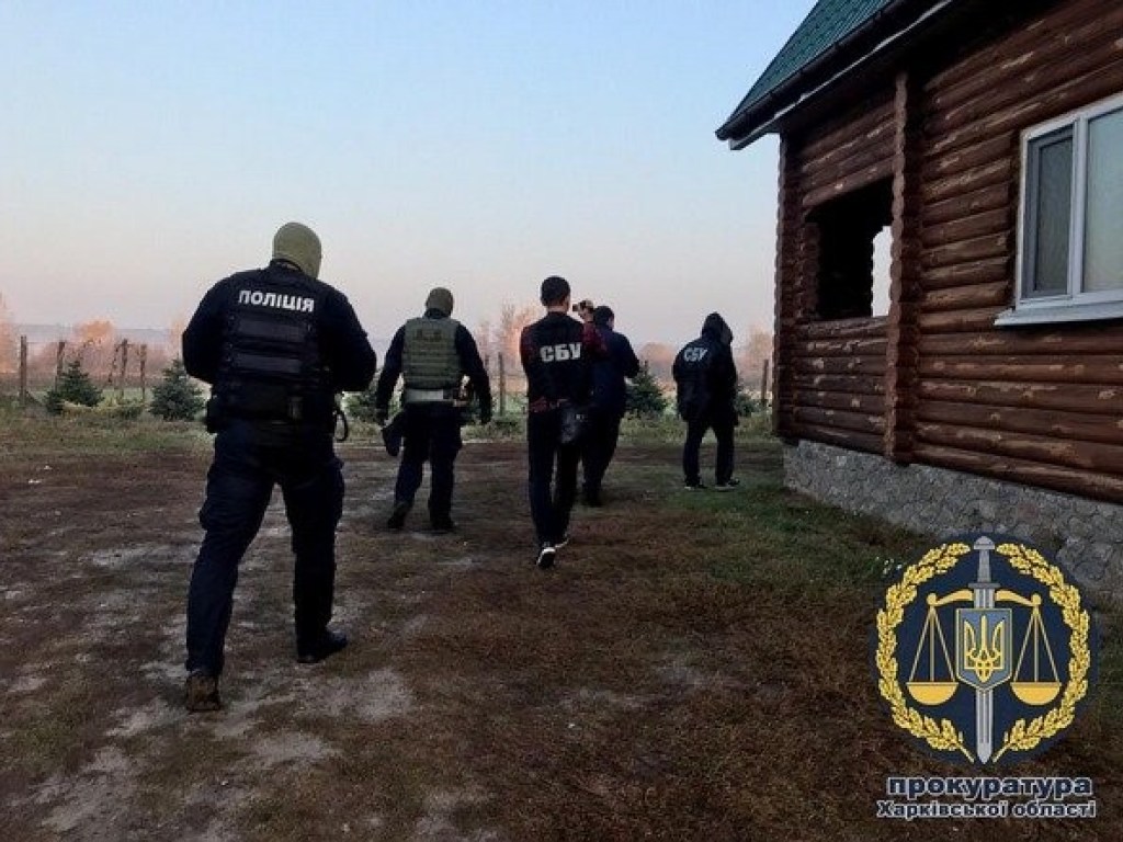 Прокуратура объявила о подозрении: В Харьковской области должностные лица вырубили лес на 6 миллионов (ФОТО)