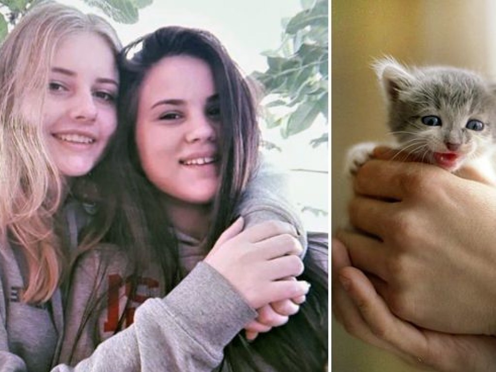 В Сумах две студентки-живодерки сняли на видео убийства котят в колодце