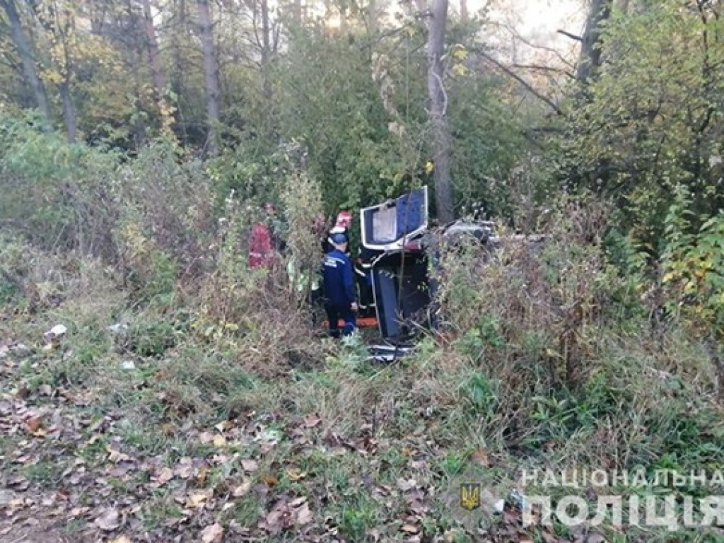На Тернопольщине Peugeot слетел в кювет: погибли две девушки (ФОТО)