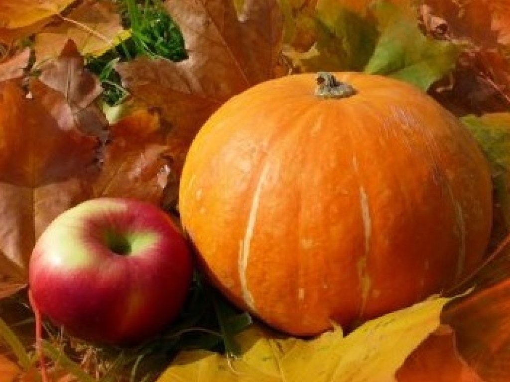 Привести вес в норму в осеннее время помогут разгрузочные дни на яблоках и тыкве &#8212; эксперт