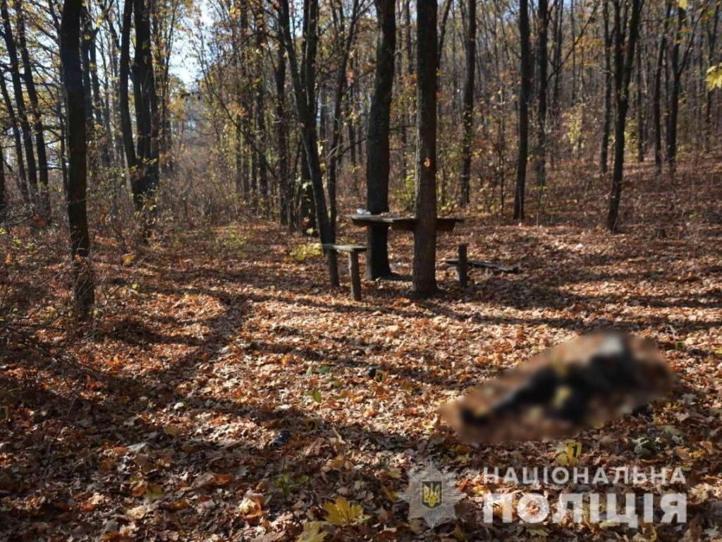На Харьковщине мужчина в лесополосе забил до смерти своего знакомого (ФОТО)