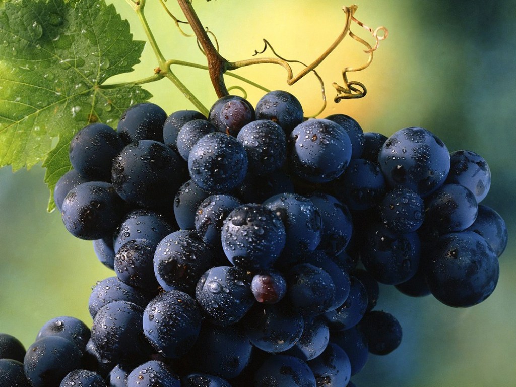 Врач: употребление сезонного винограда помогает укрепить сердечно-сосудистую систему