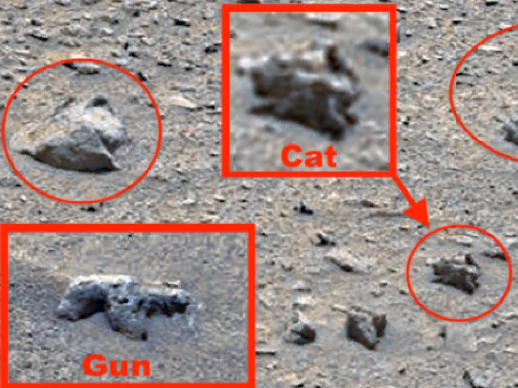 На снимках с Марса заметили кота и оружие инопланетян (ВИДЕО)