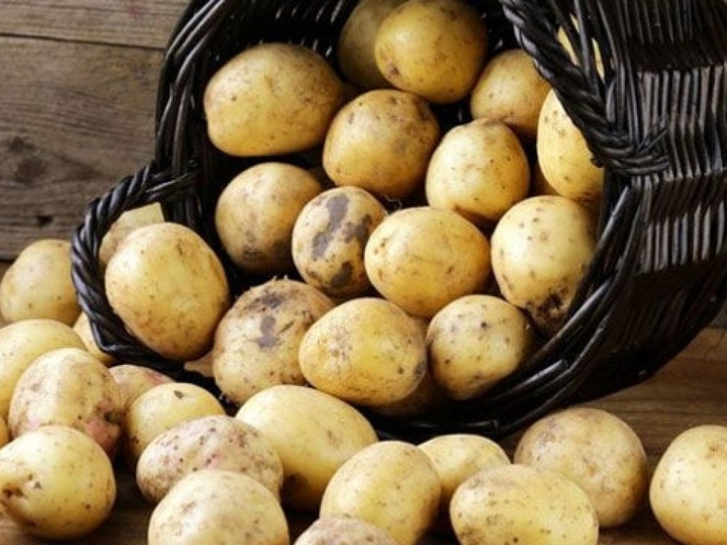 На украинские рынки завезли иностранный ядовитый картофель