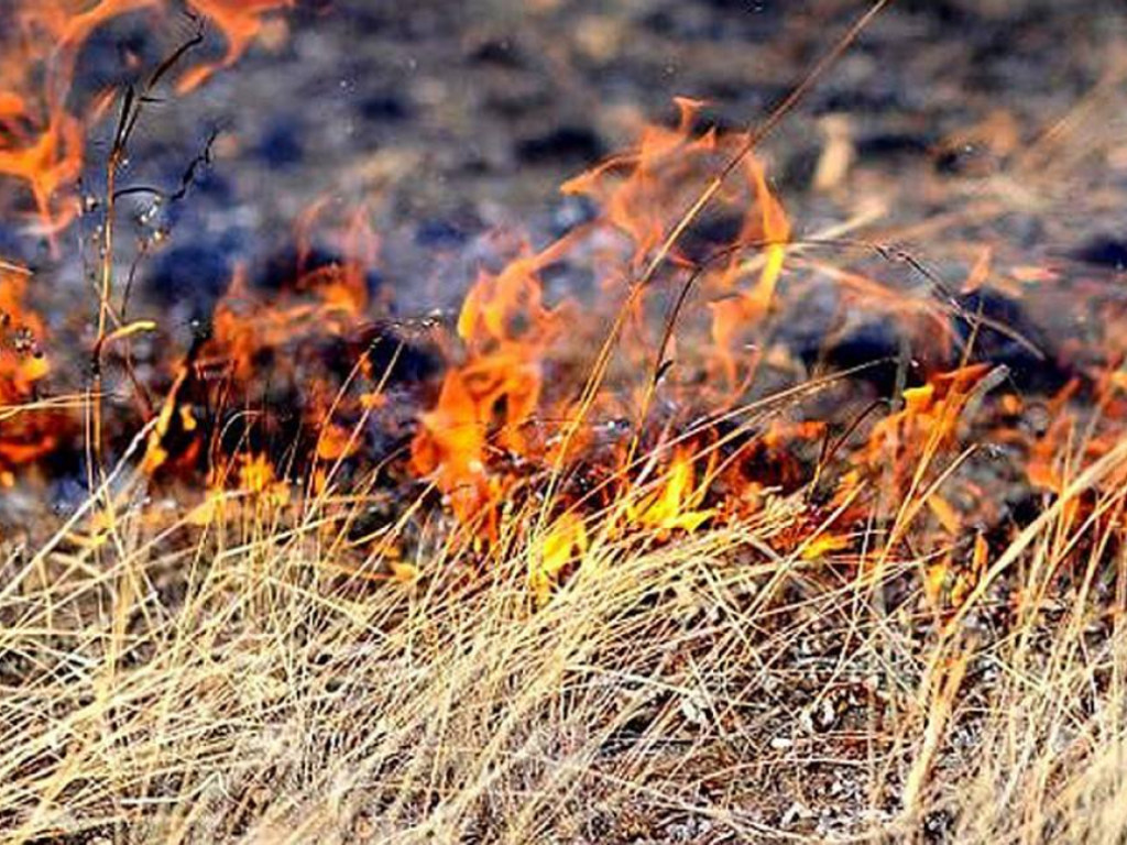 На Львовщине пенсионерка, сжигая траву, сгорела заживо