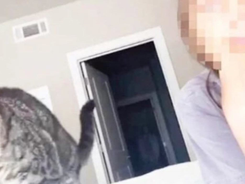 Веб-камера зафиксировала призрак за спиной у девушки (ФОТО)