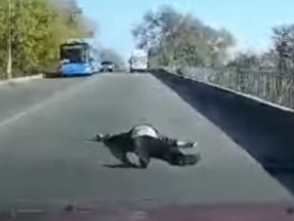 Чудом остался жив: Под Днепром пациент выпал на ходу из «скорой» (ВИДЕО)