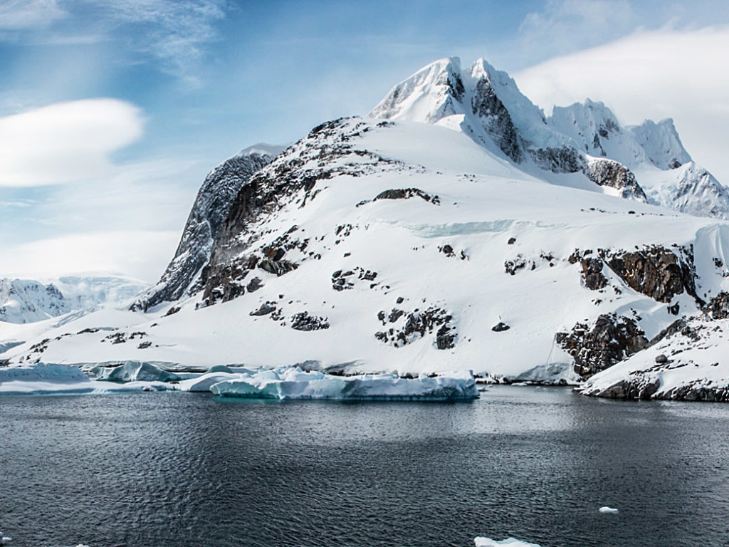 Размеры доисторических «монстров», найденных в Антарктиде, шокировали ученых