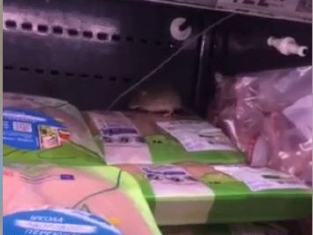 Под Киевом в магазине на полках с продуктами бегают мыши (ВИДЕО)