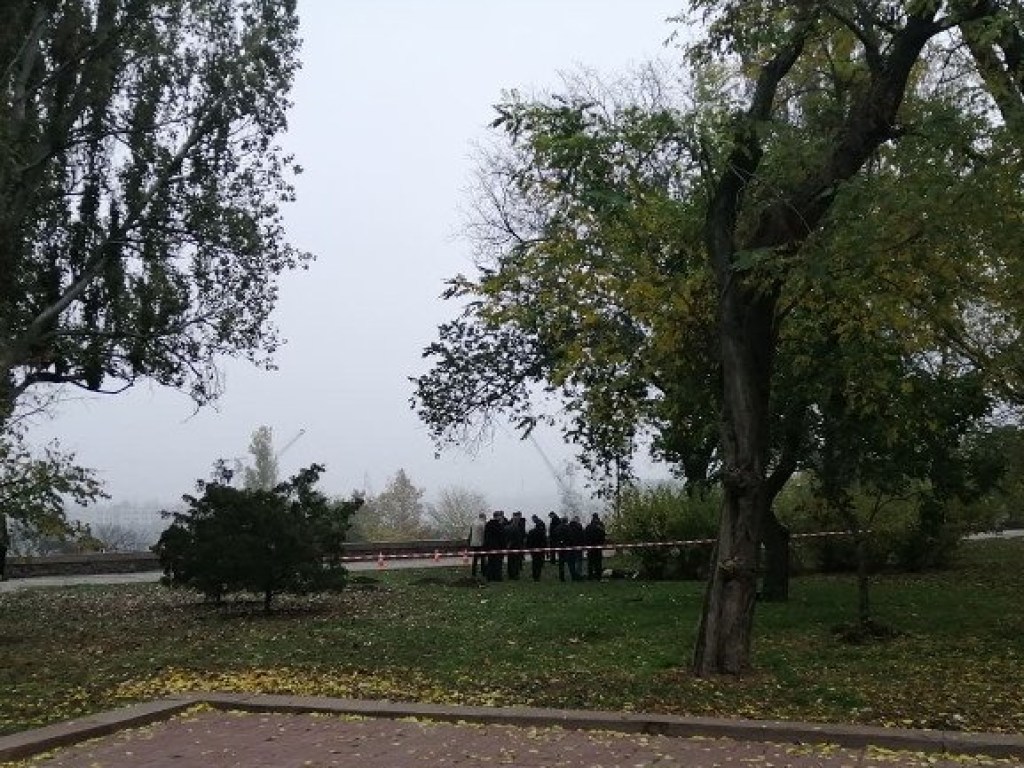 Под зданием николаевской мэрии в кустах обнаружили труп (ФОТО)