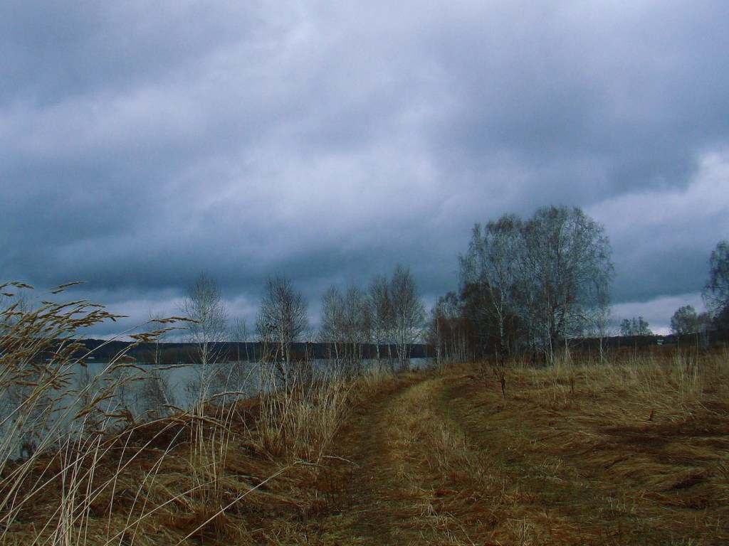 Синоптик: В четверг погоду в Украине будут «диктовать» антициклон Ольденбург и арктический воздух (КАРТА)
