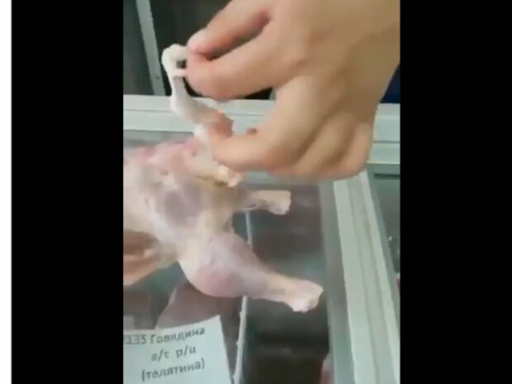 В супермаркете продают трехногих кур: мутанты переполошили интернет (ФОТО, ВИДЕО)
