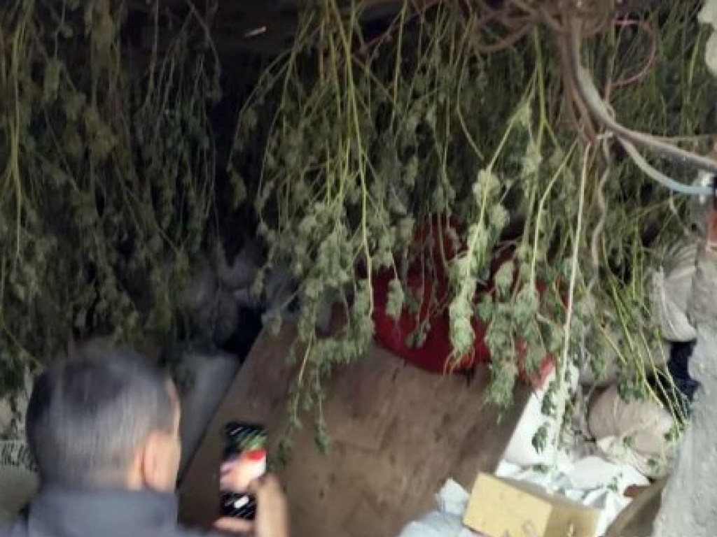 В Херсоне изъяли десять килограмм марихуаны