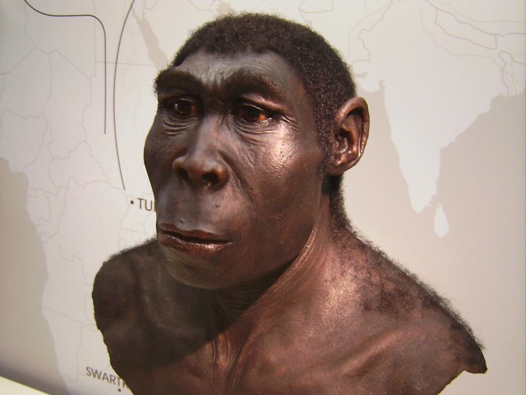Жила 200 тысяч лет назад: ученые нашли праматерь всего человечества