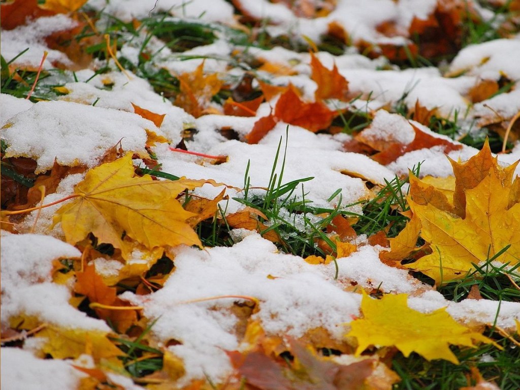 Прогноз погоды на 2 ноября: В Украине ударят морозы до -6