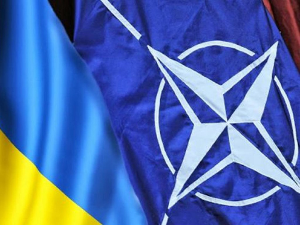 Европейский эксперт объяснила, почему НАТО не рассматривает Украину в качестве своего полноценного партнера