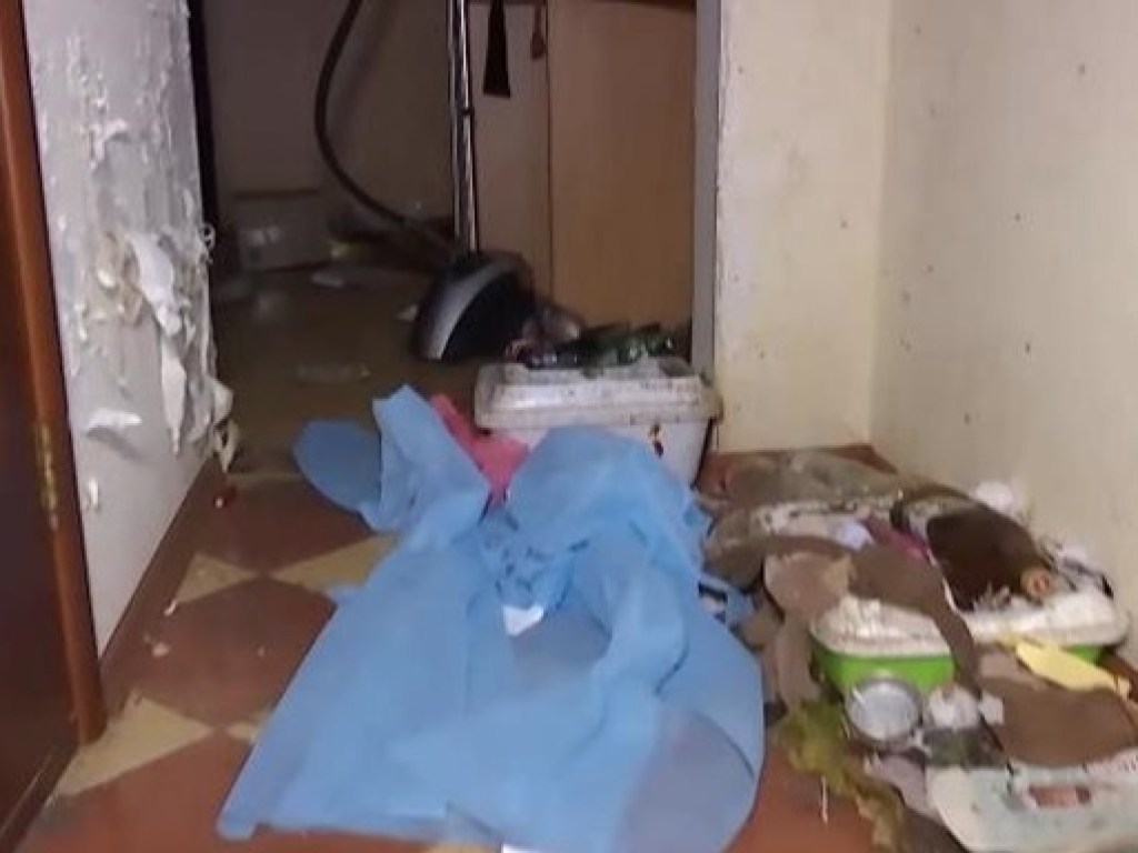 В Киеве женщина бросила в съемной однокомнатной квартире 40 котов и одну собаку (ФОТО, ВИДЕО)