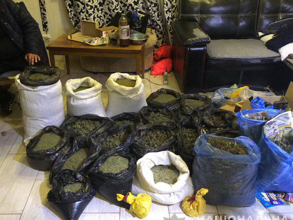 В доме бывшего милиционера на Харьковщине нашли 40 килограмм конопли и арсенал оружия (ФОТО)