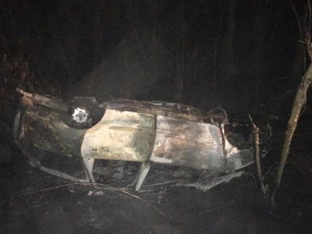 Под Житомиром автомобиль врезался в дерево и загорелся: водитель чудом выжил (ФОТО)