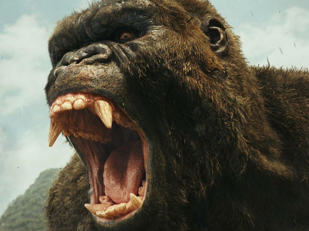 Трехметровый примат существовал в реальности: Ученые нашли останки «Кинг-Конга»