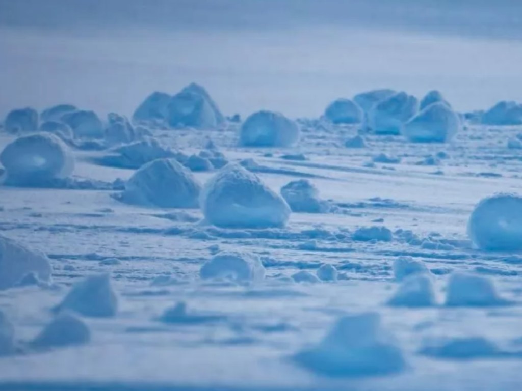 Снег «в рулонах» шокировал пингвинов в Антарктиде (ФОТО)