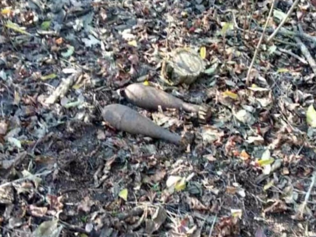 В лесах на Днепропетровщине продолжают находить боеприпасы (ФОТО)