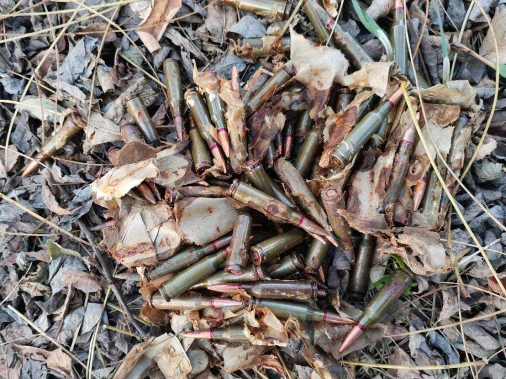 На Днепропетровщине грибник нашел в лесу гранатометы «Муха» и патроны (ФОТО)