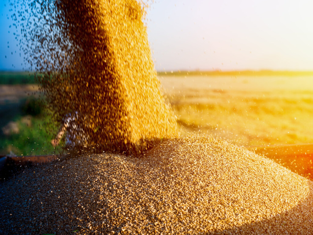 За три квартала года Украина экспортировала почти 40 миллионов тонн зерновых