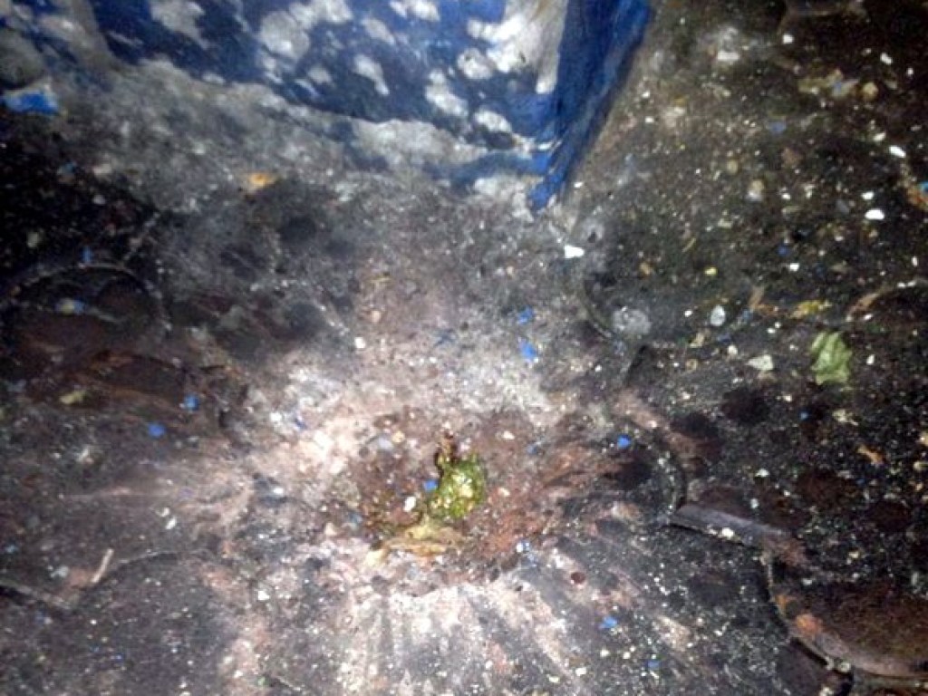На Одесчине прогремел взрыв: гранату бросили в жилой двор (ФОТО)