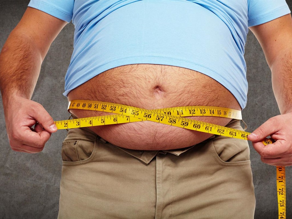 В мире всё больше толстых: За последние десятилетия калорийность рецептов возросла на 44% &#8212; исследование