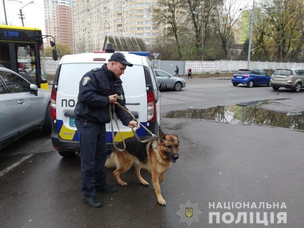 Полиция Киева открыла уголовное производство по факту нападения на эксперта РПР