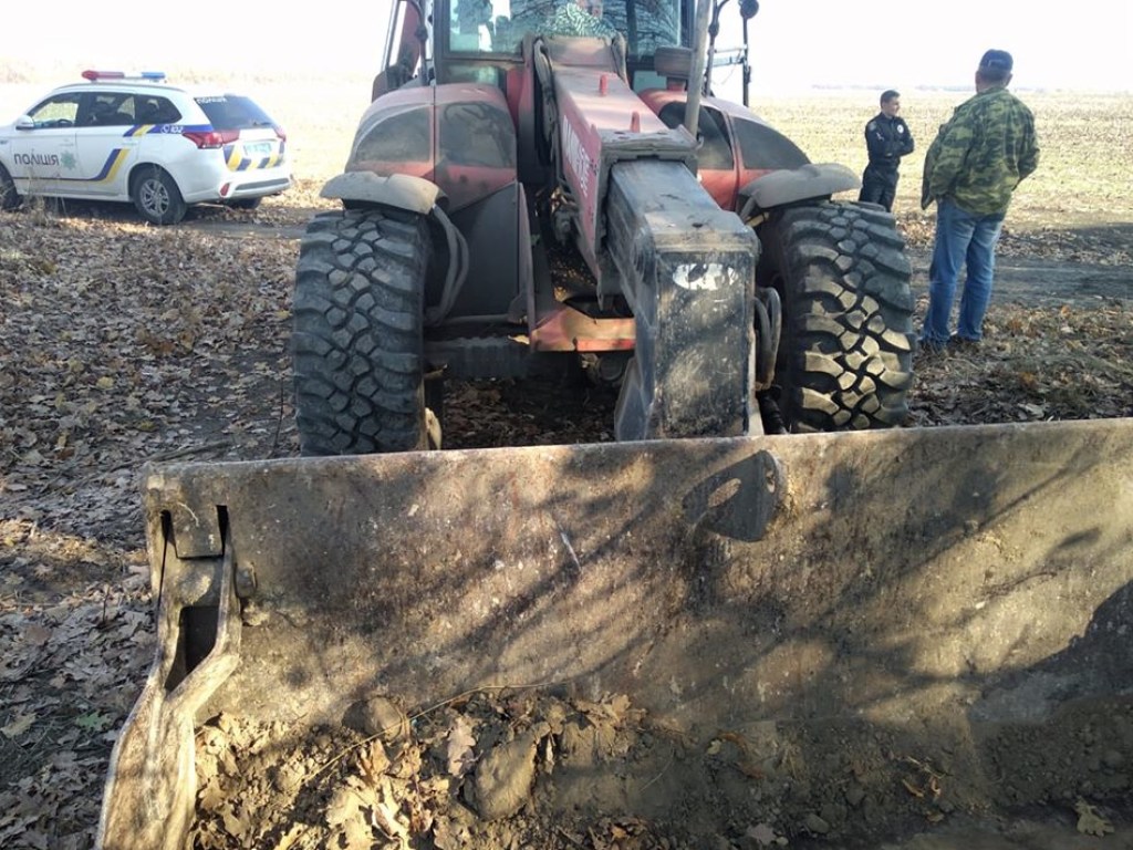 В Черкасской области нашли тушки 20 дохлых свиней (ФОТО)