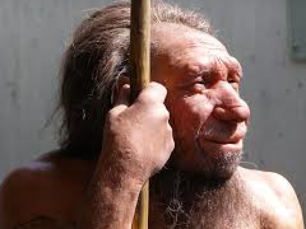 Революционное исследование: Неандертальцев «скосил» неизвестный вирус