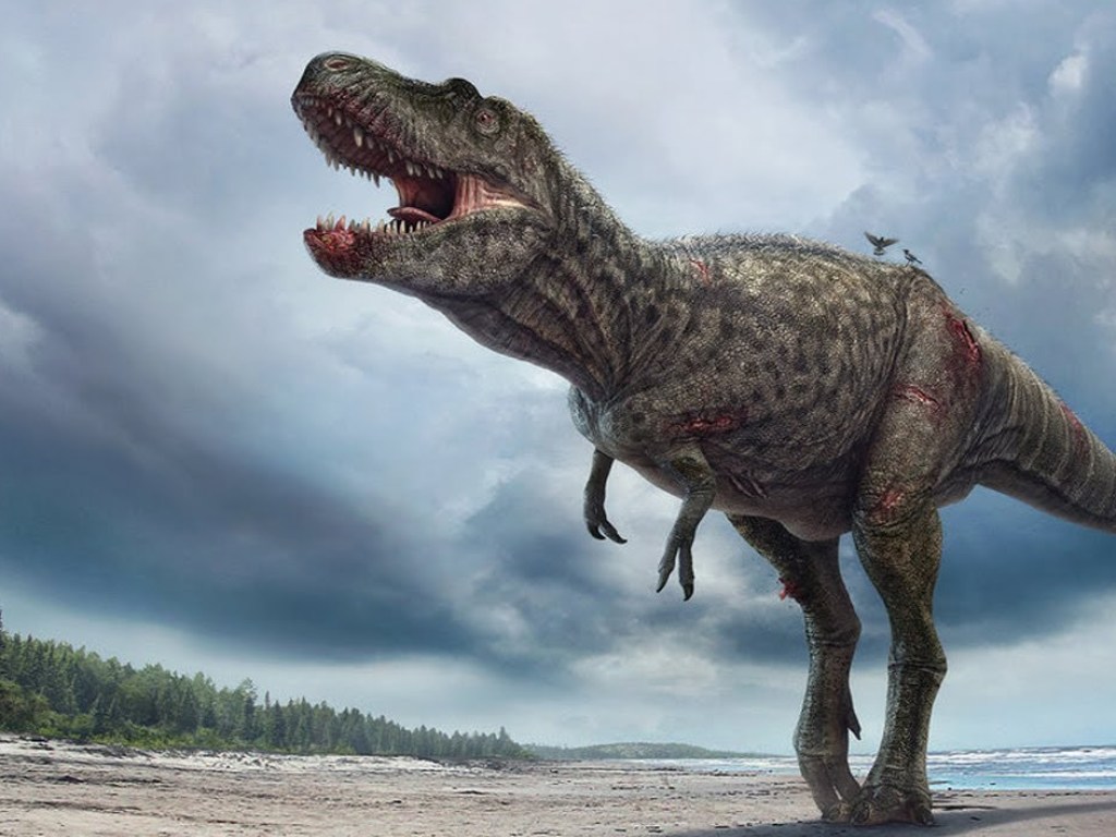 Динозавры жили на другой стороне галактики – ученый NASA (ВИДЕО)