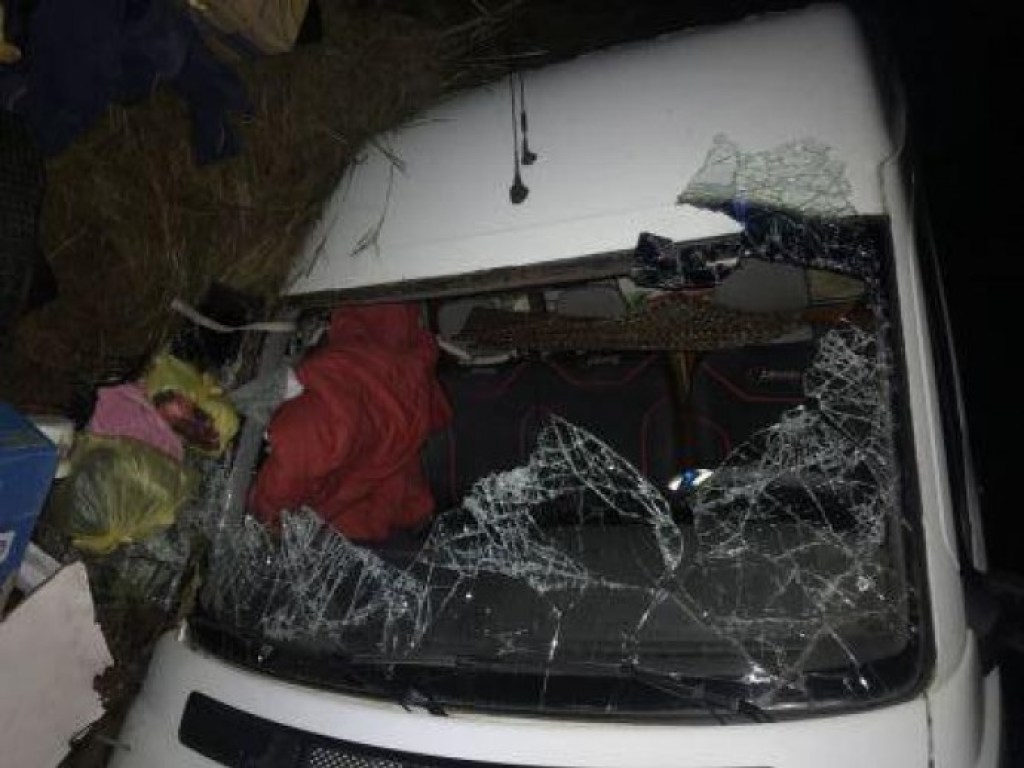 Не справился с управлением: в Винницкой области микроавтобус упал в кювет, водителя еле спасли (ФОТО)
