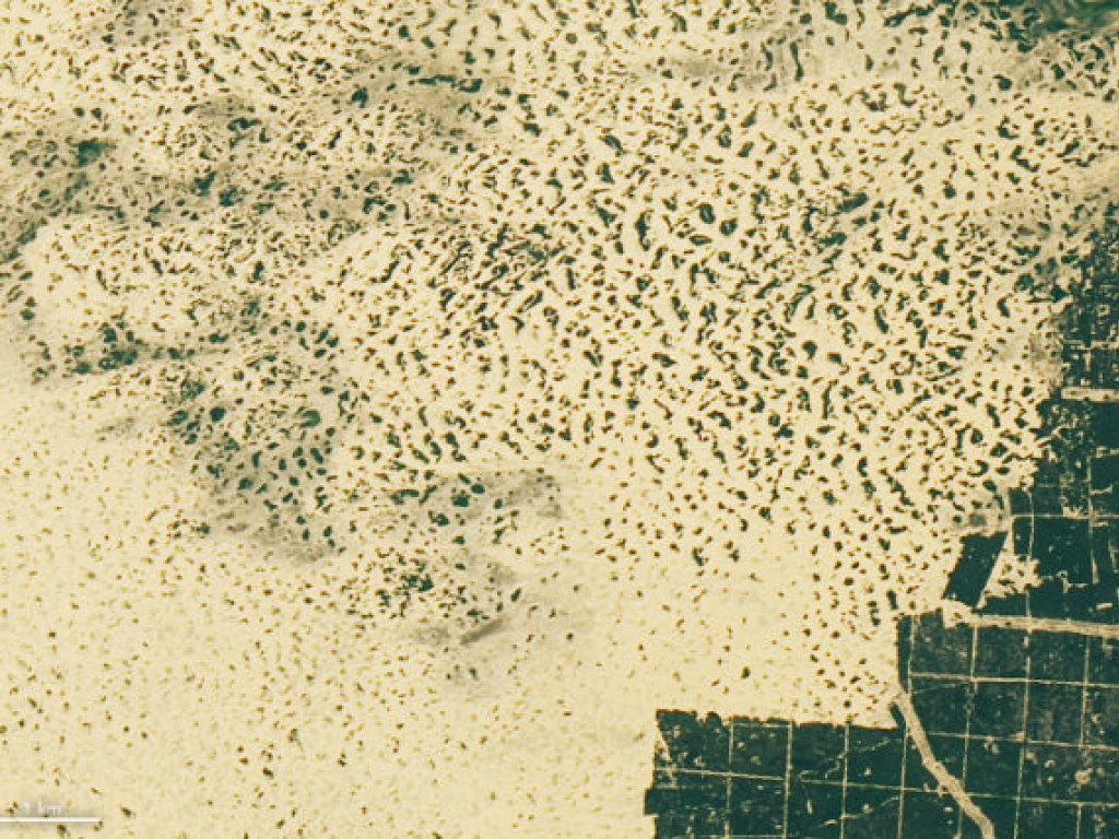 NASA показало впечатляющие фото известной украинской пустыни
