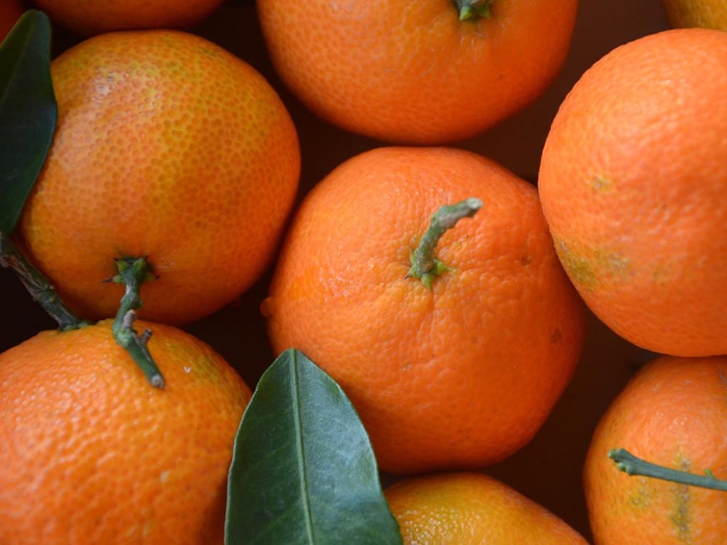 Сезон мандарин: диетолог назвал плюсы и минусы популярного фрукта