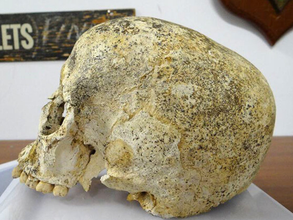 3700-летняя красавица: Ученые реконструировали лицо девушки из бронзового века (ФОТО)