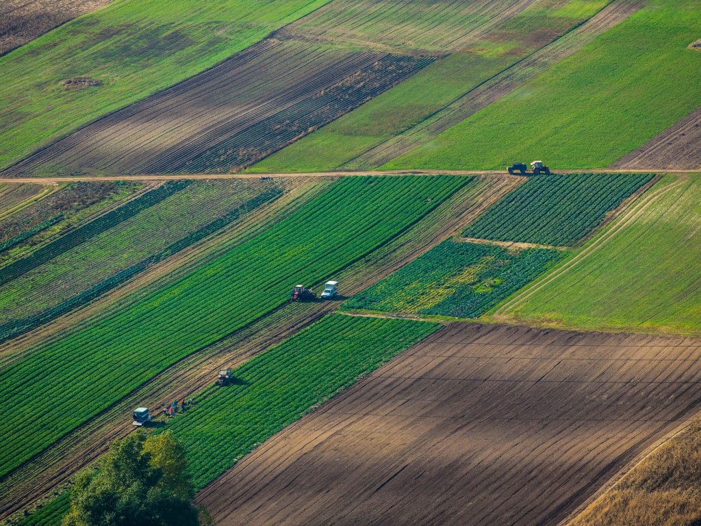 Заявление МЭРТ о том, что у государства украли половину сельхозземель, является ложью – эксперт