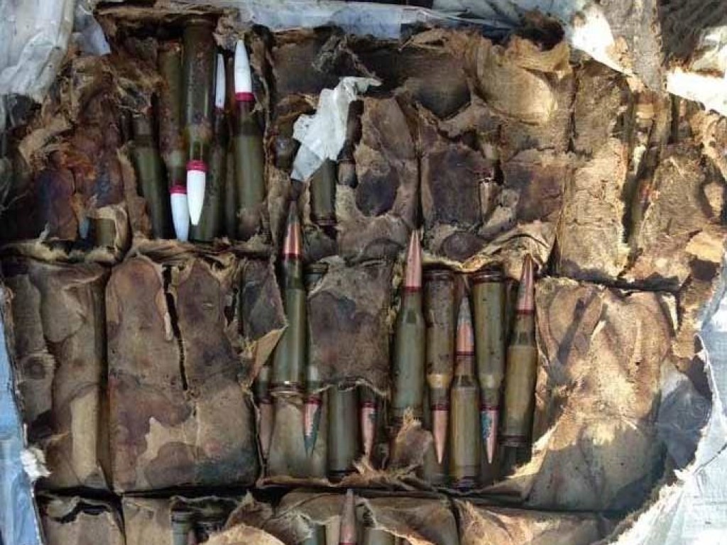 В Винницкой области в рюкзаке нашли мину, гранаты и патроны (ФОТО)