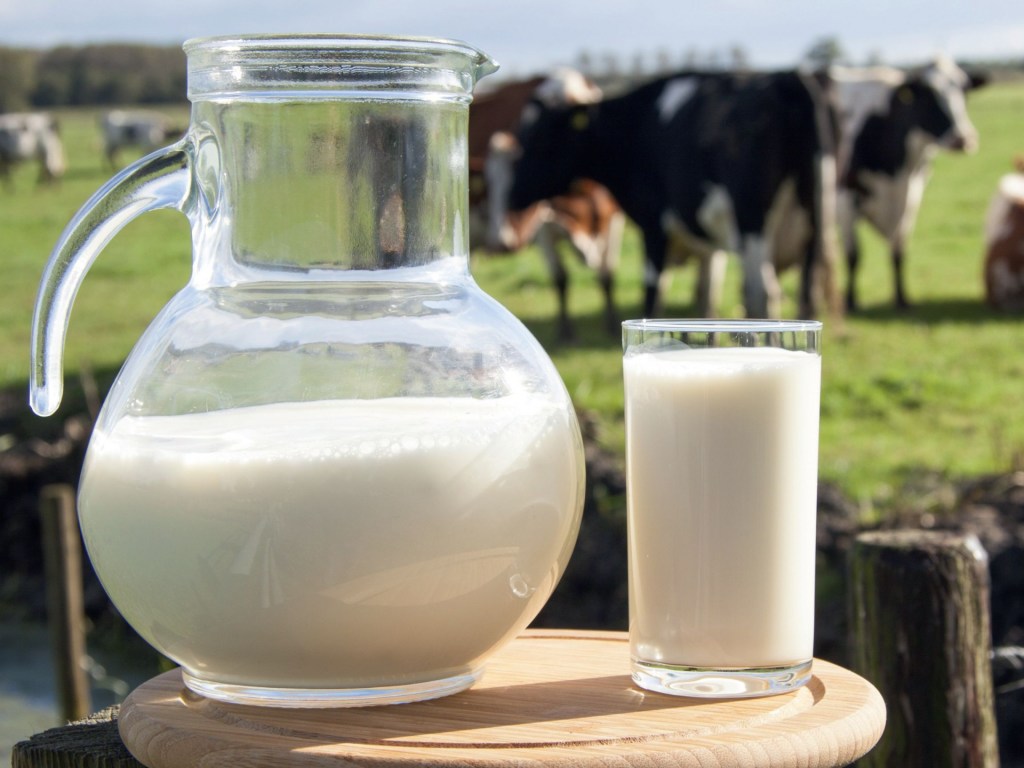 Врачи рассказали, когда молоко становится опасным для здоровья