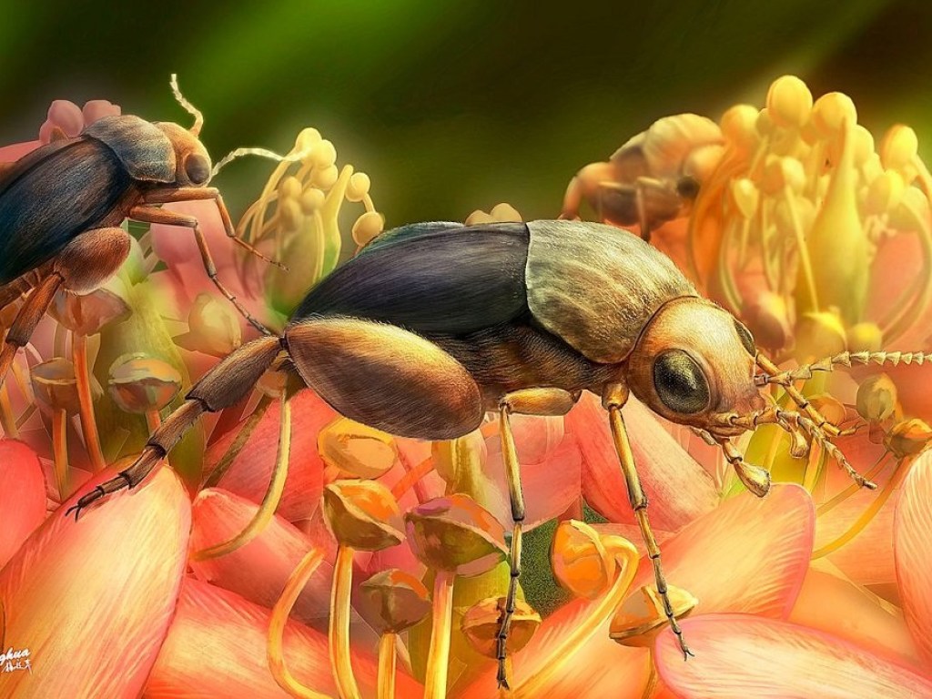 Похож на фасолину: ученые нашли древнейшего жука в мире (ФОТО)