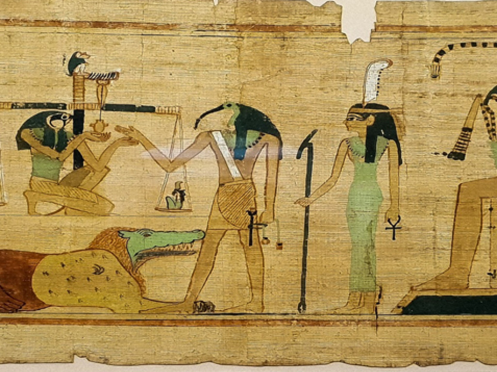 Ученые изучили мумии священных египетских птиц и были шокированы открытием (ФОТО)